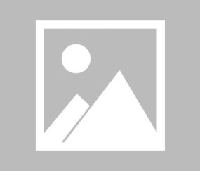 网页版登录入口-王勤伯：无为而治放飞小将 育人大师安切洛蒂赢了